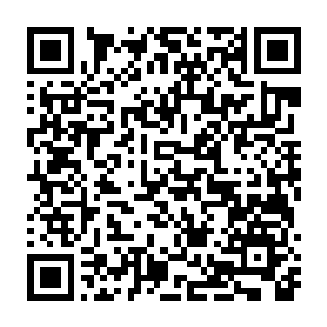这界主强者所用的界主之力和不朽强者所用的元素之力有着多么大的差距二维码生成