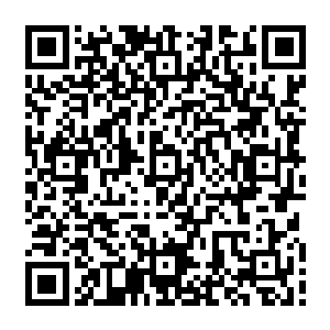 这真的是真的不然我怎么可能会这么着急哎呦我的少主大人就算你们之间有什么误会二维码生成