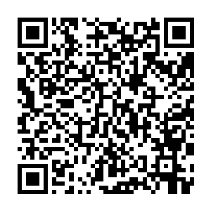 这睡莲没有任何的生命气息……竟……竟像是由一种独特的能量凝聚而成二维码生成