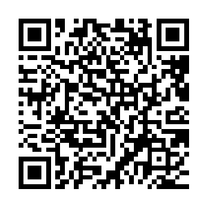 这神乐家的女子灵气和你们仙侠之陆上的修真者倒有几分相似呢二维码生成