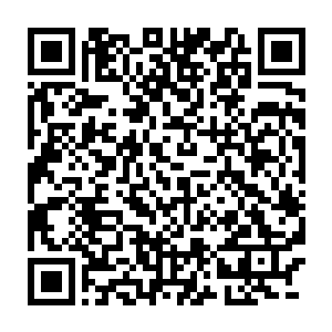这种专门针对石头生命的毒丹的毒气对方吸收了这么多会没有一点反应二维码生成