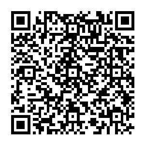 这种东西单单是一颗都是价值连城・可想而知龙傲天服用这么多事一种什么样的概念二维码生成