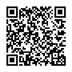 这种东西在暗极域只有专门的贵族里面才会有着完整的传承二维码生成