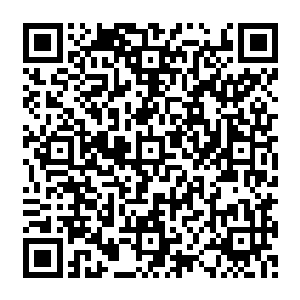 这种久违的情感波动重新唤醒了阿蒙德的回忆――让他记起了当初为什么会喜欢上电影二维码生成