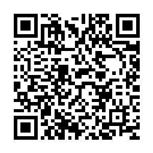 这种事情还将继续下去……蝙蝠和乌鸦已经死在他的手上了……二维码生成