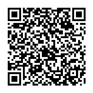 这种亲和力度……说梦魇吸能体质是梦境世界一部分世界意志的转生我都信二维码生成