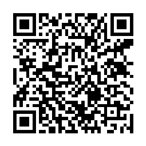 这种全寝行动只会出现在大一开学之初和一些特殊日子二维码生成