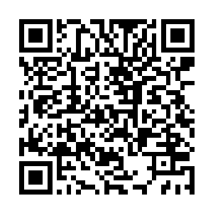 这种全新的炮兵战术结合移动堡垒掩护步兵突击的战术二维码生成