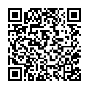 这种力量……似乎和上古传闻中的特殊体质有着关系……二维码生成