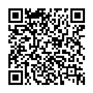 这种可以不断提高自己实力的果实其实也就显得越加的珍贵二维码生成