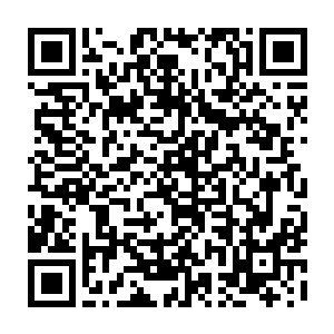 这种吊死尸的桥段在电影里看过没一百回也有八十回了……有什么呢……二维码生成