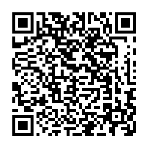 这种因为不愿意多花几天的时间就让底下护卫们用自己的命去淌路的命令二维码生成