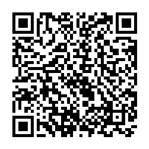 这种大型的精神屏蔽恐怕就算是亲王级别的血族恐怕都不一定能够阻挡的了二维码生成