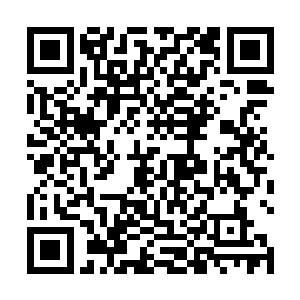 这种实力在其他七大宗门已经可以做到太上长老的位置二维码生成