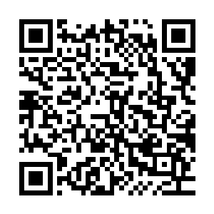 这种情况只会出现在赤螭的精血和龙潜的身体完美融合的前提下二维码生成