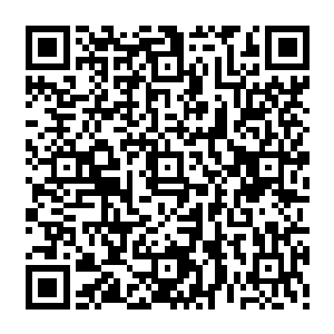 这种情况在道魂界只有一个地方才会出现――――那便是龙城――――妖族第一高手二维码生成