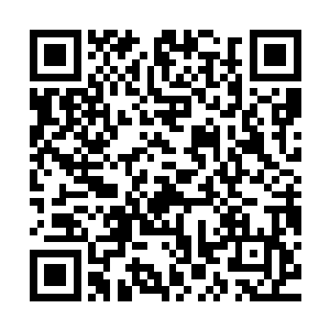 这种感觉可比曾经想买个什么还得跟家里软磨硬泡要舒爽太多了二维码生成