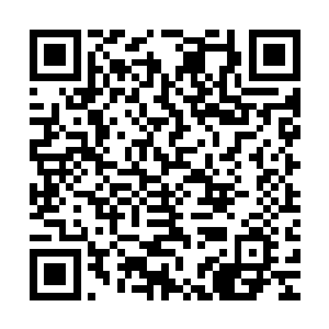 这种战士互相问候的礼仪便作为一种普遍礼仪在九原城普及开来二维码生成