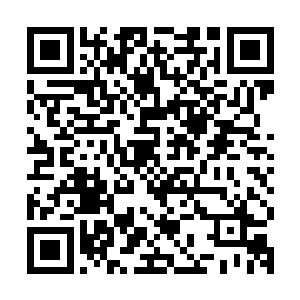 这种教育在严老将军硬压着将承憬过继出去的时候起到关键作用二维码生成