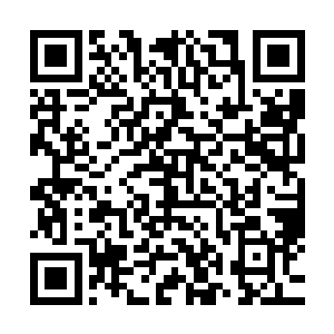 这种新型的能量武器的威力大校指挥官可是曾经亲手体验过的二维码生成