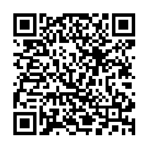 这种时候那种神奇的麻痹病毒已经侵入了你的中枢神经和脑部二维码生成