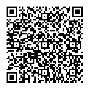 这种有趣的小故事和话题则会让莱布尼茨上校在诺丁堡的酒会和沙龙中成为那些寂寞贵妇心中风趣和有话题的人二维码生成