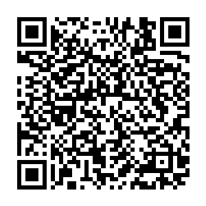这种版本的耶识步本就是无数年前国教里的某位前贤大能尝试进行的一种模仿二维码生成