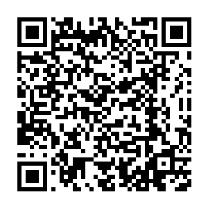 这种用松木渣作为培养体的栽培技术与葡萄种植相结合也算是一个突破二维码生成