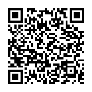 这种痛恨已经发展到可以不顾形象问候他们祖宗十八代了二维码生成