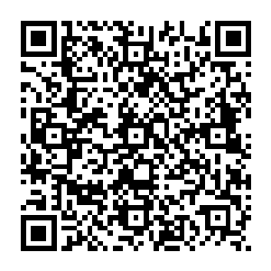 这种种令人惊叹的事迹以及才能世人怎么也不会想到会是一个大门不出二门不迈的大家闺秀二维码生成