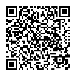 这种程度的伤口也要送到专门医院使用最高级的修复液泡个至少一星期才能修复二维码生成