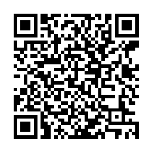这种蠢事他们自然是不会做的……之所以现在打的如此激烈二维码生成