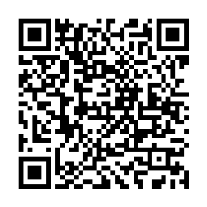 这种诡雷不会对他这样实力的修炼者造成实质性的伤害二维码生成