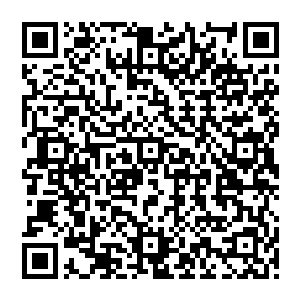 这种距离之下竟然还丝毫无法感觉到对方的灵力波动……这已经不仅仅是隐匿修为那么简单了二维码生成