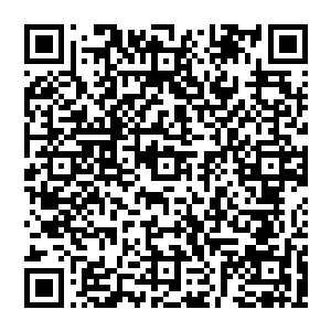 这究竟是怎么回事为什么我的脑海当中会多了两种类似修炼的功法好像是武侠片里面的那种啊一个叫造化金诀二维码生成