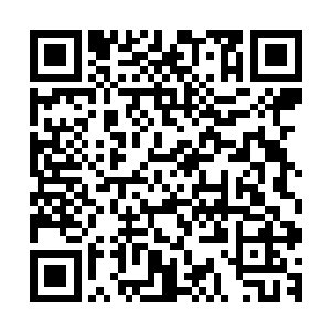 这突然的变化让得杨念爷爷和杨家全的神色全都变得紧张起来二维码生成