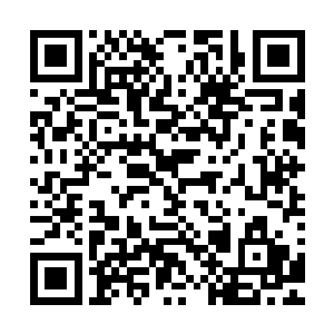 这笔金币的注入能够从根本上将他从当前的低谷期给拉了出来二维码生成