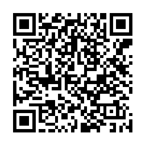 这等实力确实已经足够屠了大部分主力不再的血魔宗总坛了二维码生成