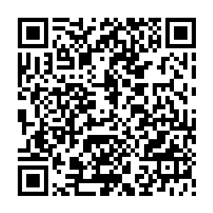 这篇作者署名为白扬的文章中不仅详细的介绍了老太买鸡腿时遭遇的价格欺骗二维码生成