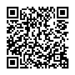 这粒子方程倒并非只有接受了灵武修行体系的修士才能施展二维码生成