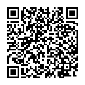 这组实验数据肯定是打错了……每一家药品生产商所生产出来的药物二维码生成