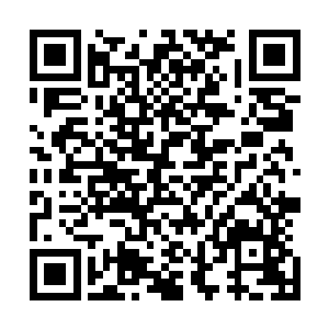 这组数据是秦氏对杜家旗下的数家上市公司股权占有百分比二维码生成