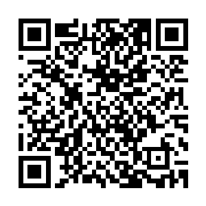 这给本身就已经有些疲惫的离天域界带来了又一次沉重的打击二维码生成