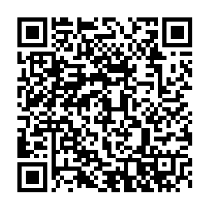 这绝对不是什么好消息的……很可能地下世界的平衡就会被打破的二维码生成