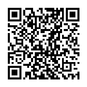 这绝对是打算将秦方硬生生的活埋在这里面的……二维码生成