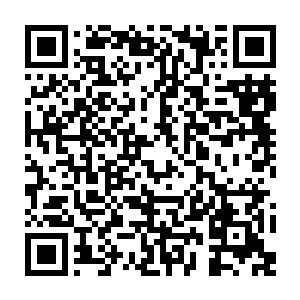 这群人也一直在寻找各地的著名药用沼泽进行治疗――龙应世家的血脉之毒二维码生成