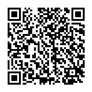 这群人的实力不低一起自爆威力不小何况还有凤华雪和封晨在旁边二维码生成