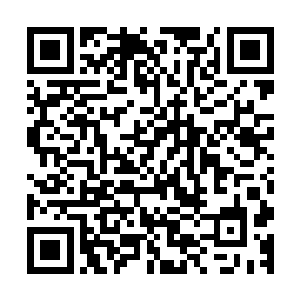 这能将普通人冻成冰棍的寒冷气候对他们几人构不成丝毫影响二维码生成