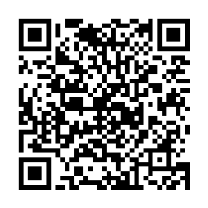 这若是传出去的话我血剑门恐怕也不用再万岛海域待下去了二维码生成