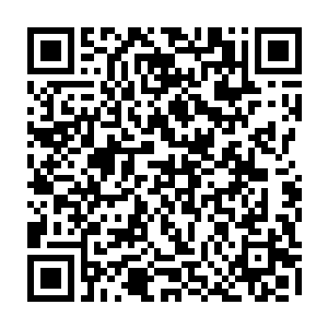 这蜀山所化的百米巨剑也终于跟那数百米长的巨型雷龙狠狠地撞击在了一起二维码生成